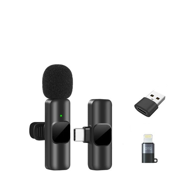 Portable Wireless Microphone