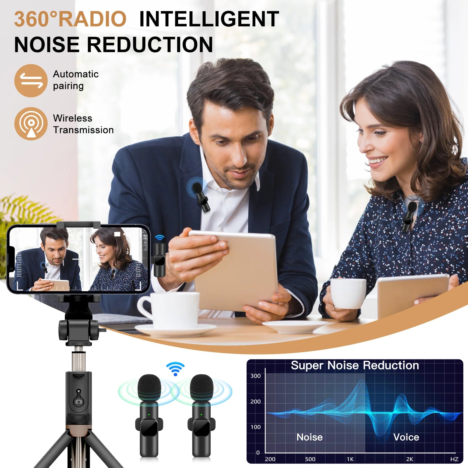 Portable Wireless Microphone