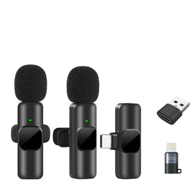 Portable Wireless Microphone