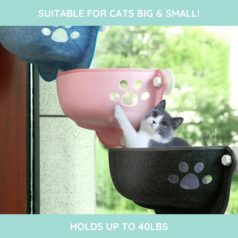 Purrfect Perch –  Deluxe Cat Window Hammock