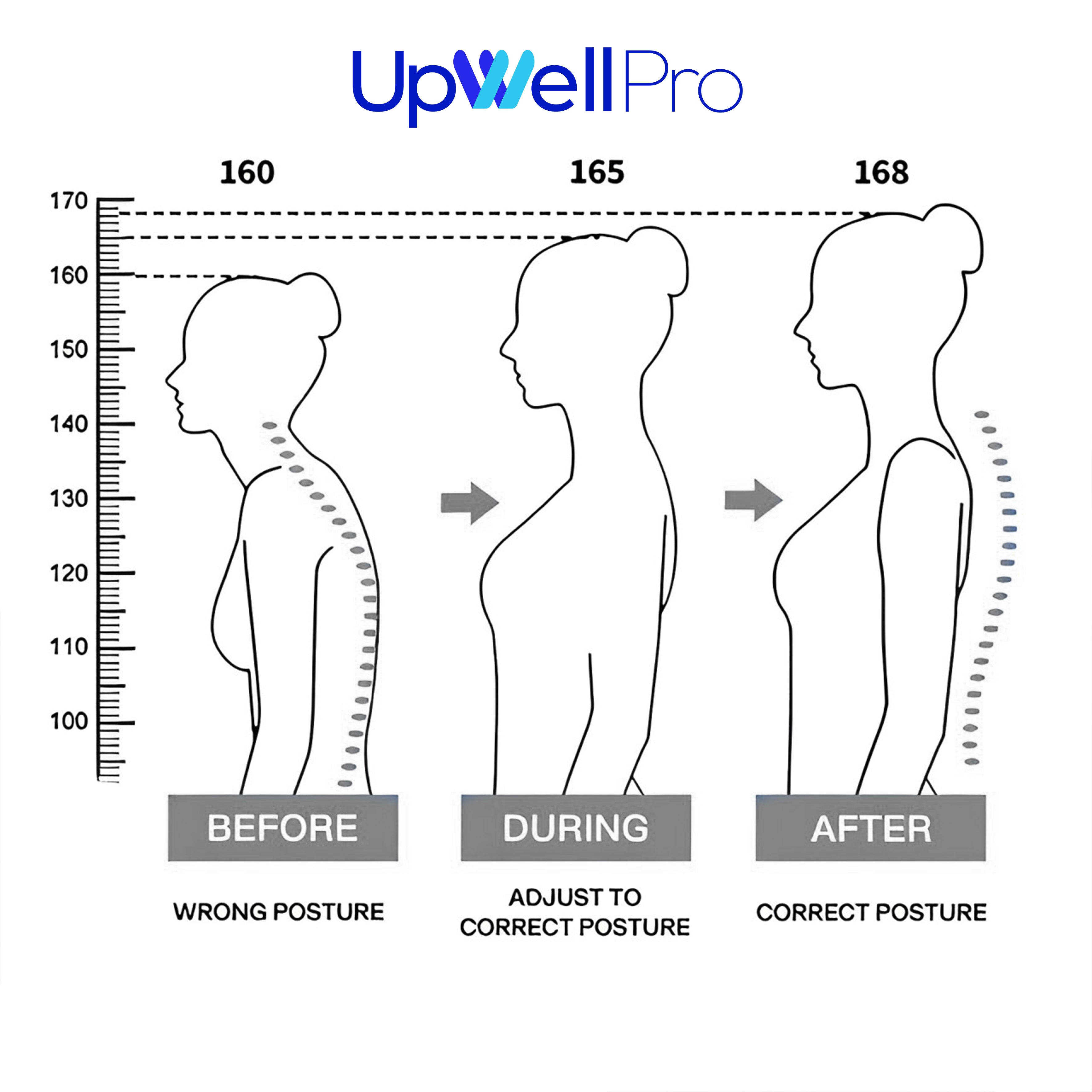 The ORIGINAL BACK HERO – UPWELL PRO