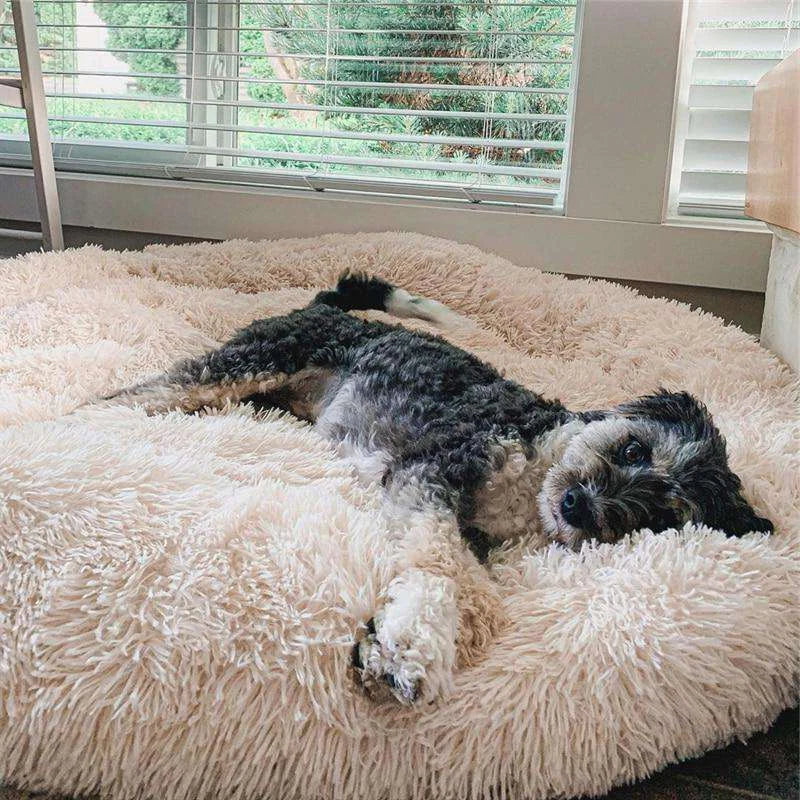 FluffyFriendShop – World’s #1 Anxiety Relieving Pet Bed