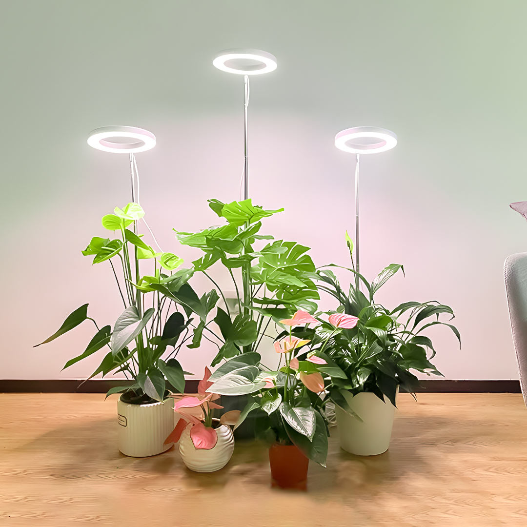 ThriveBeam – Flourish with Indoor Sun