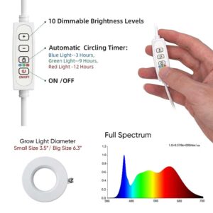 ThriveBeam – Flourish with Indoor Sun