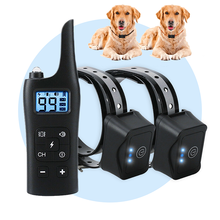 Pet Smart Dog Training Collar with Remote