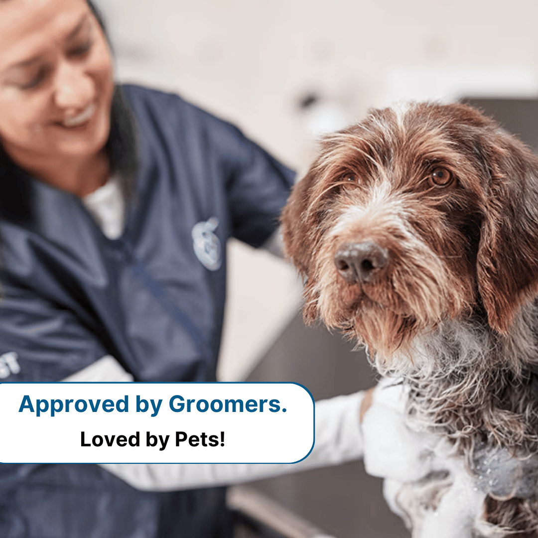 GroomPro – The #1 Pet Shedding Solution