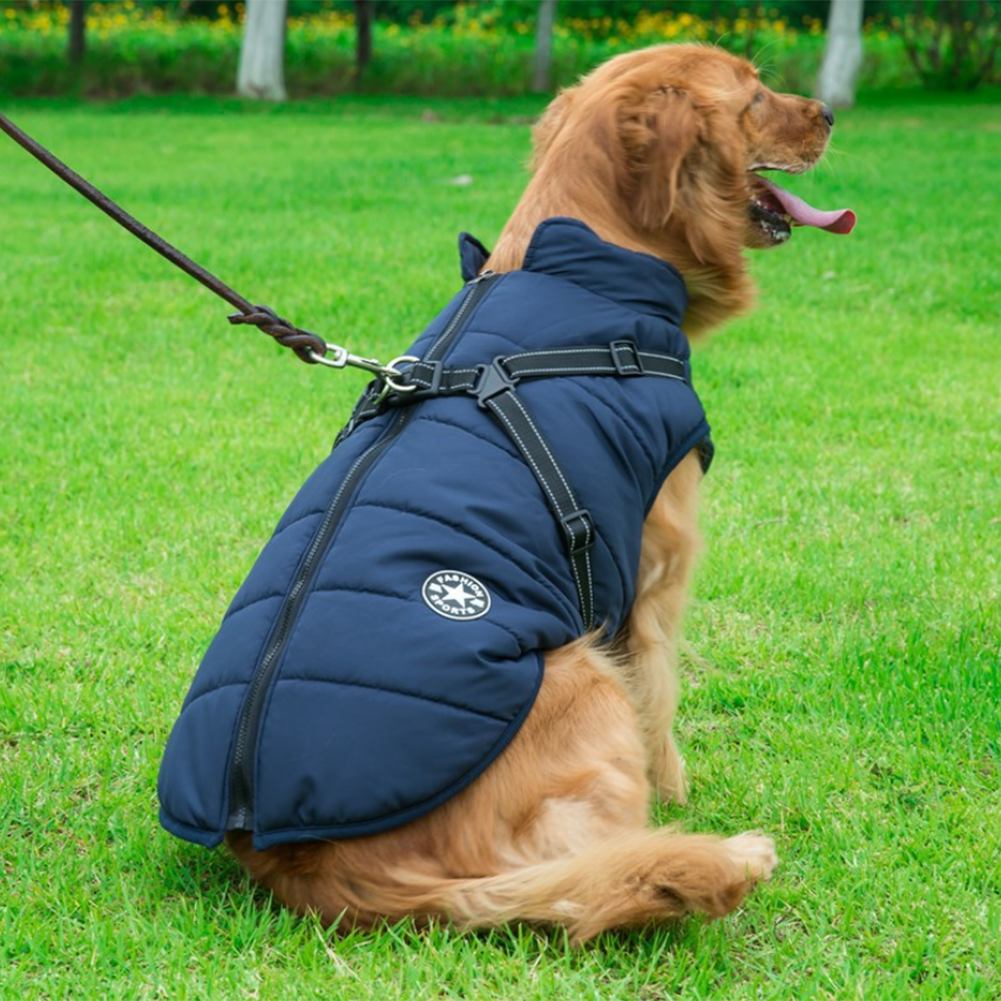 Waterproof Winter Jacket with Built-in Harness